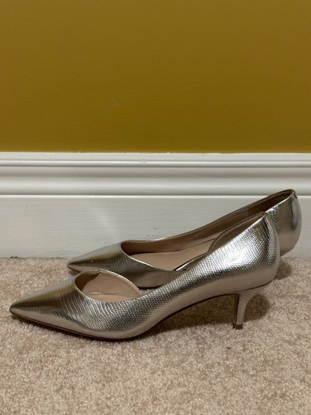ALDO Silver Pointed-Toe Kitten Heels